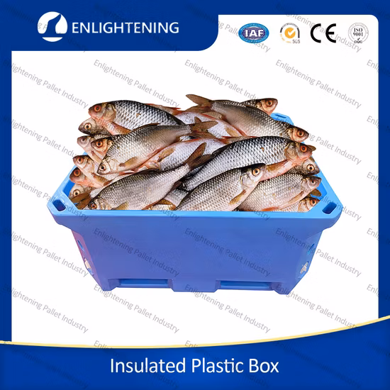 Heavy Duty Huge Bulk Storage Regular LLDPE Cool Stackable Fish Insulated Plastic Pallet Box for Transportation